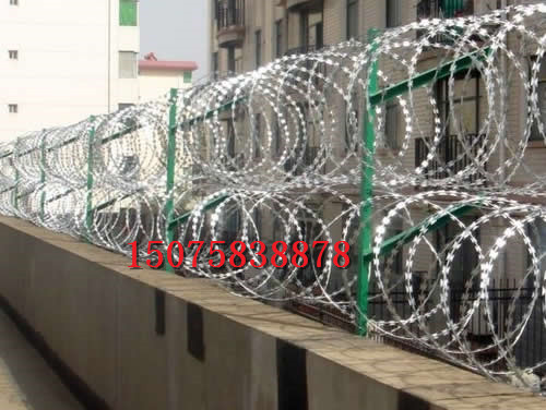 監獄蛇腹形刀刺隔離網